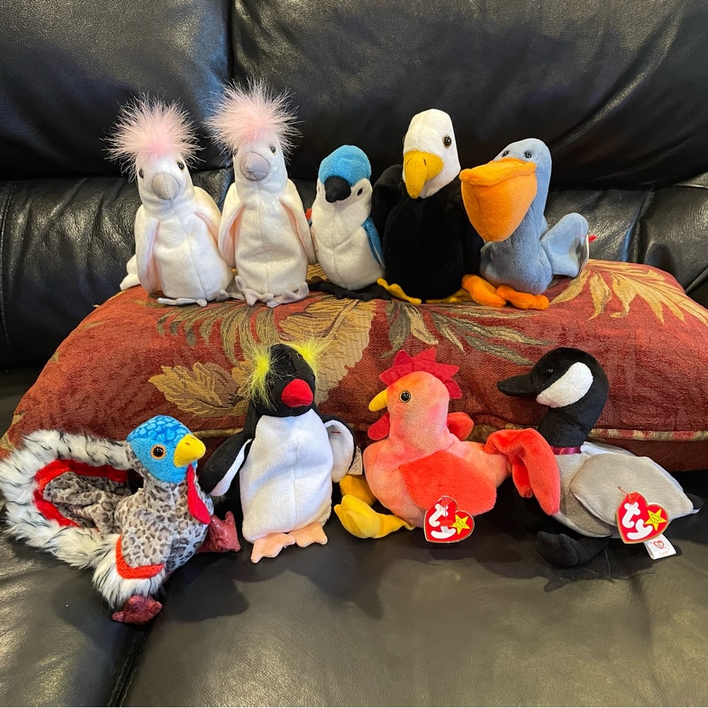 Meet the TY Beanie Baby Birds!